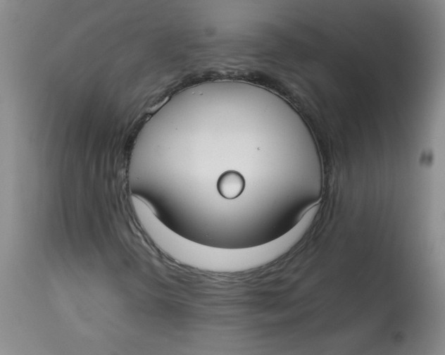 X0000113761298200910211200