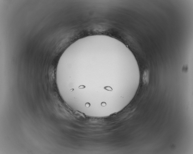 X0000113761299200910211200