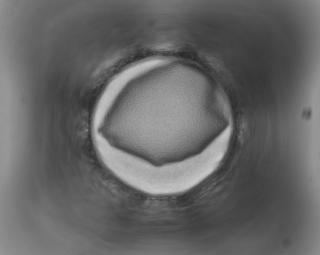 X0000113761301200910211200