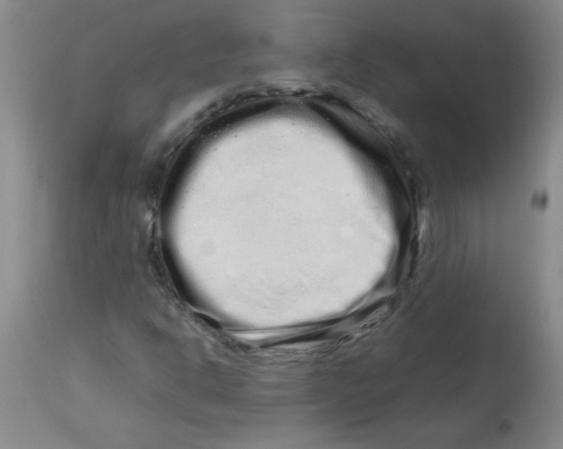 X0000113761302200910211200