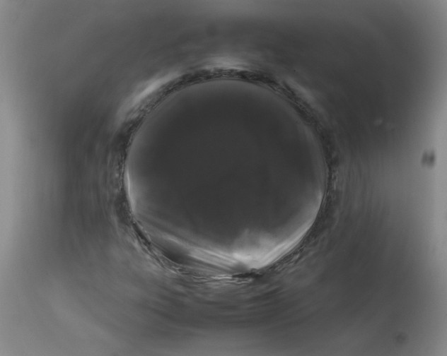 X0000113761303200910211200