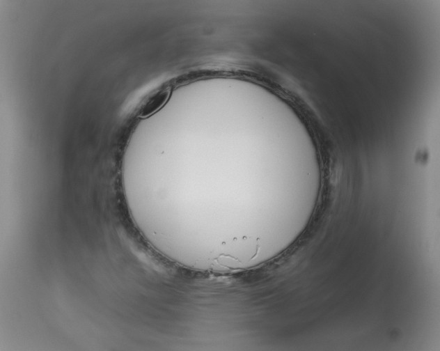 X0000113761304200910211200