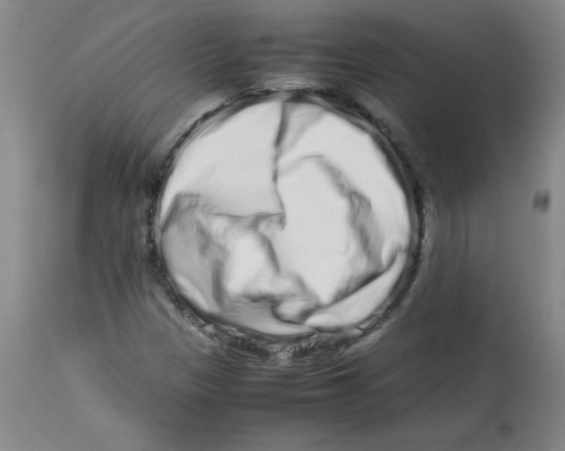 X0000113761305200910211200