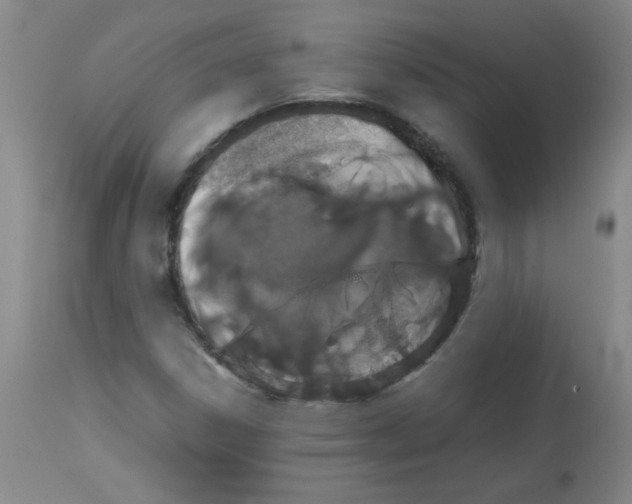 X0000113761306200910211200