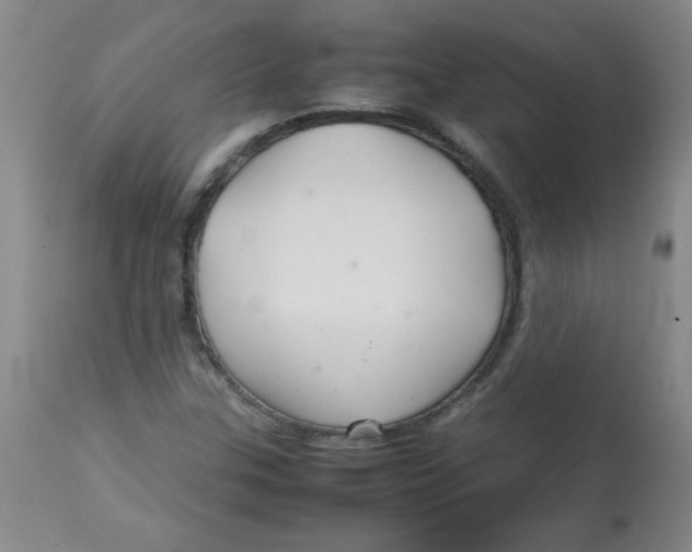 X0000113761307200910211200