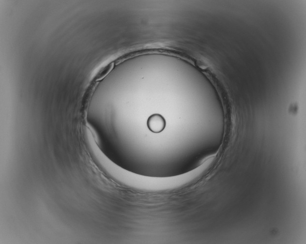 X0000113761308200910211200