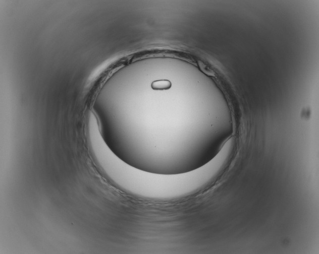 X0000113761310200910211200