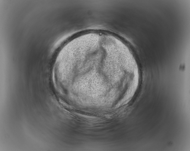 X0000113761311200910211200