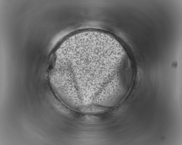 X0000113761312200910211200