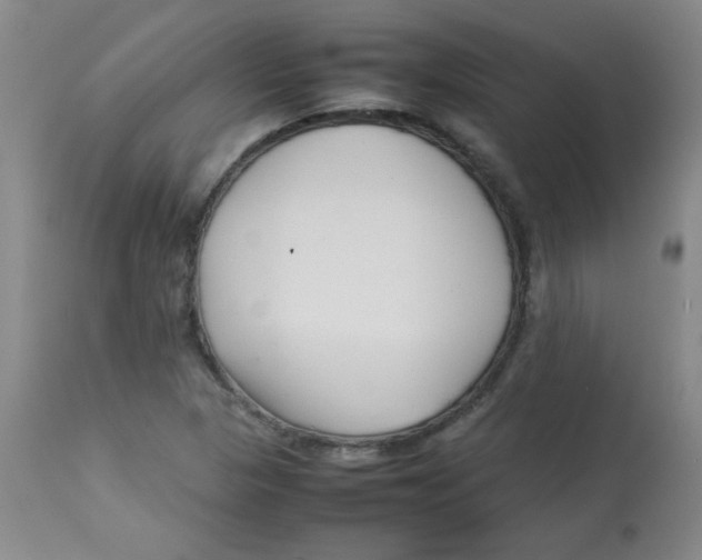 X0000113761313200910211200