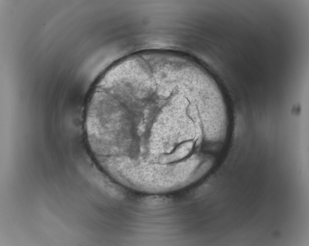 X0000113761314200910211200