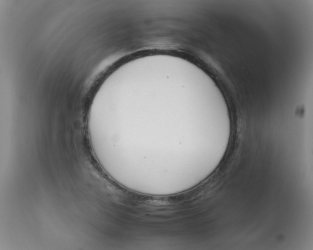 X0000113761315200910211200