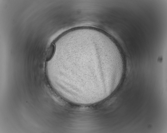 X0000113761316200910211200