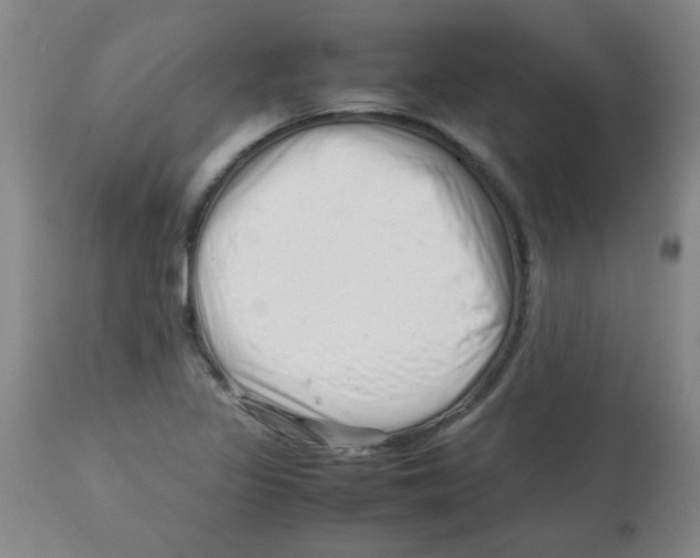 X0000113761317200910211200