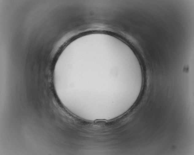 X0000113761318200910211200