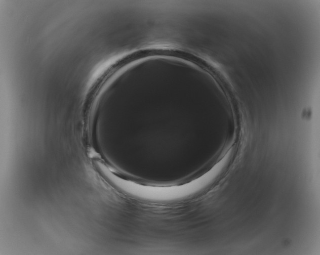 X0000113761319200910211200