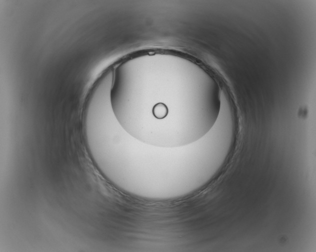 X0000113761320200910211200