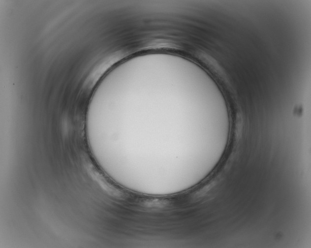 X0000113761321200910211200