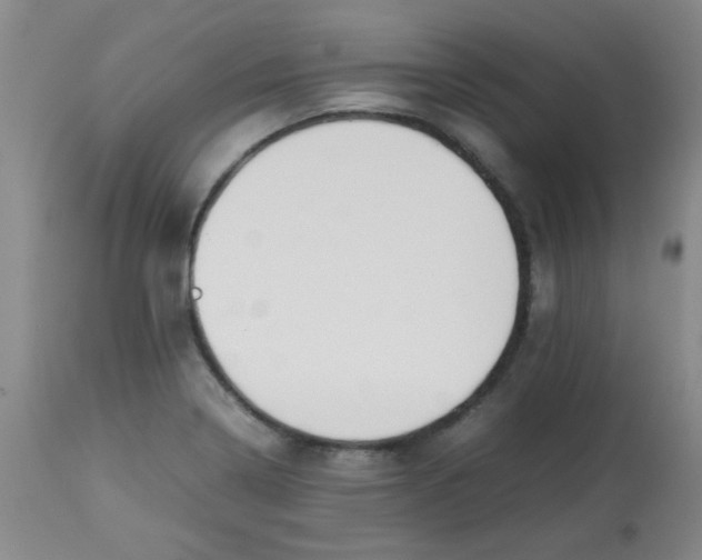 X0000113761322200910211200