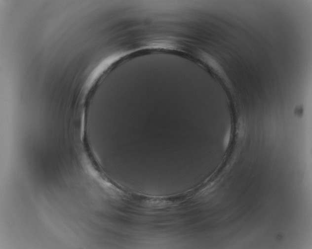 X0000113761323200910211200