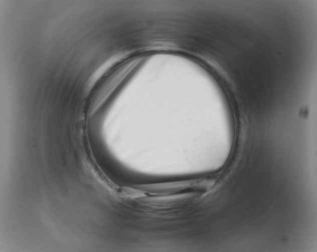 X0000113761325200910211200