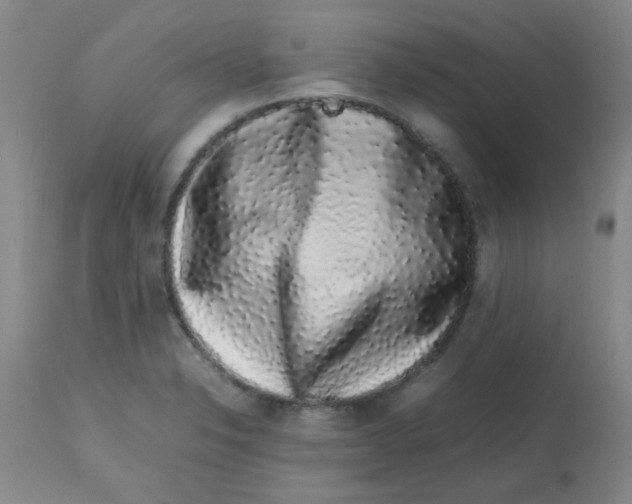 X0000113761326200910211200