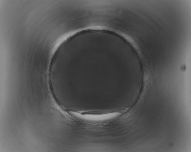 X0000113761327200910211200