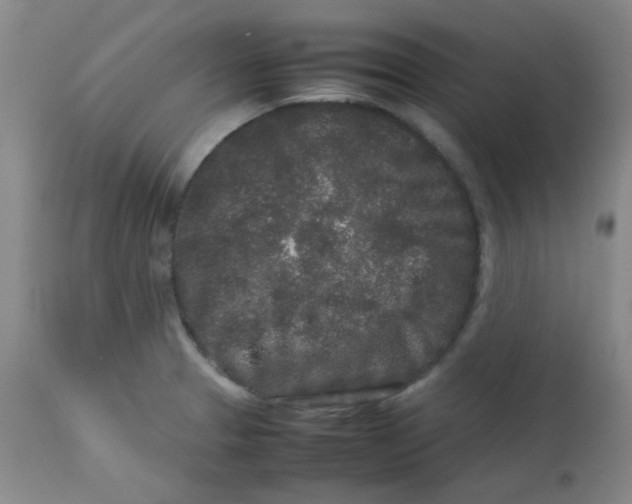 X0000113761329200910211200