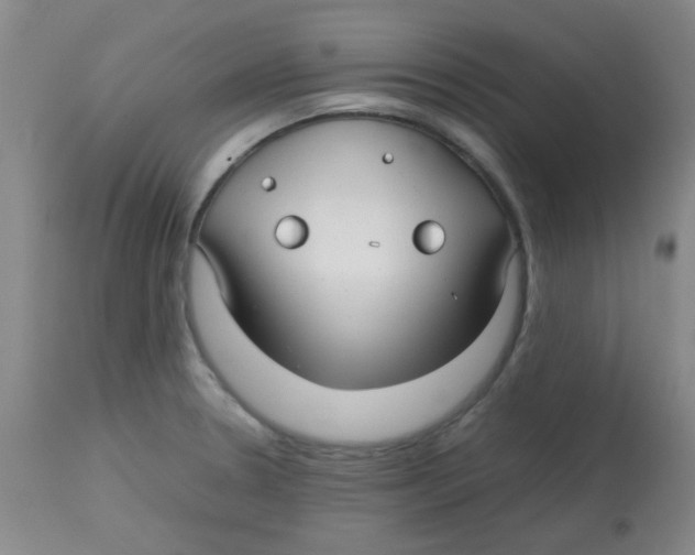 X0000113761330200910211200