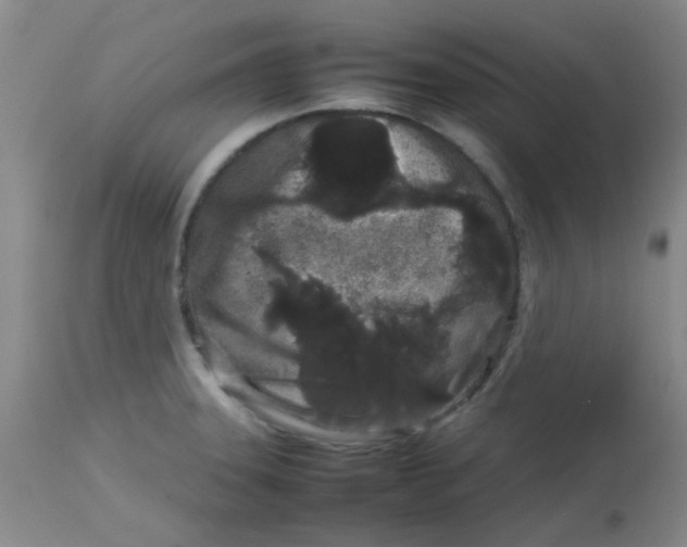 X0000113761331200910211200