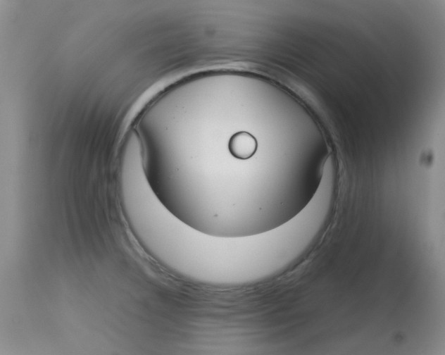 X0000113761332200910211200