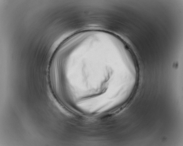 X0000113761333200910211200