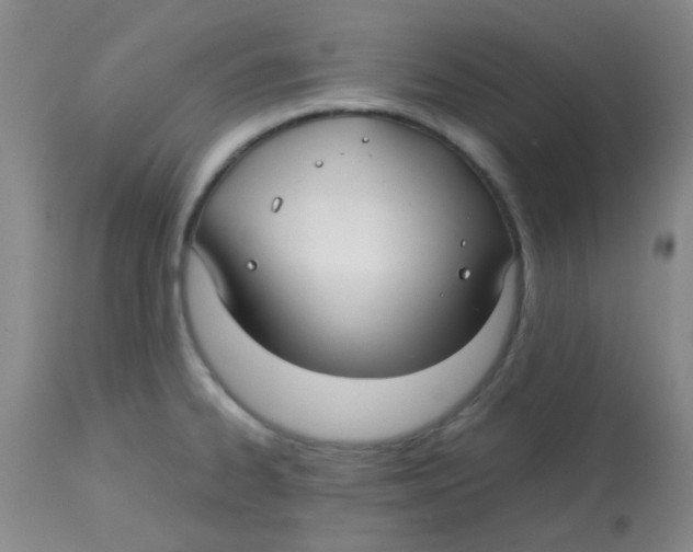 X0000113761334200910211200