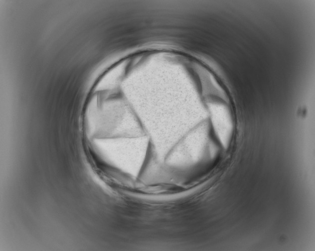 X0000113761335200910211200