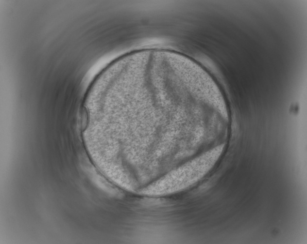 X0000113761336200910211200