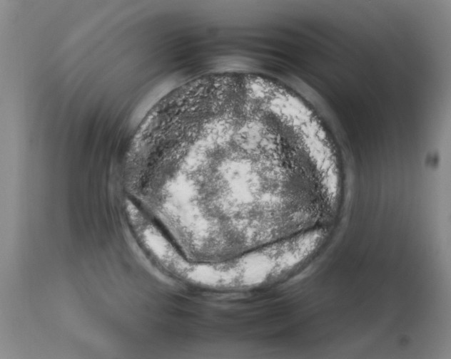 X0000113761337200910211200