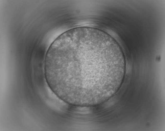 X0000113761338200910211200