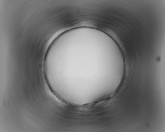 X0000113761339200910211200