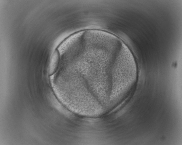 X0000113761340200910211200