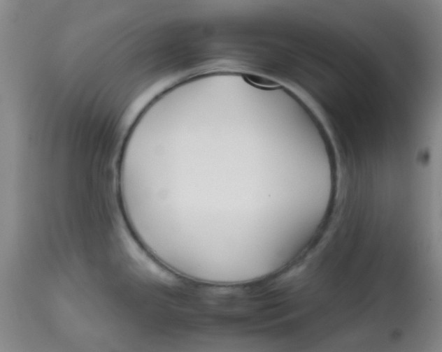 X0000113761341200910211200