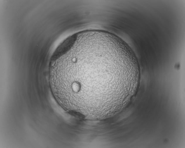 X0000113761342200910211200