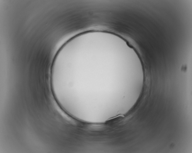 X0000113761343200910211200