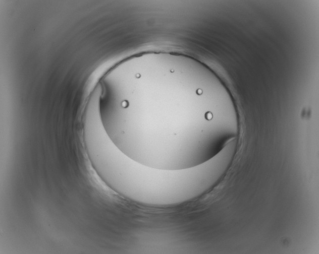 X0000113761344200910211200