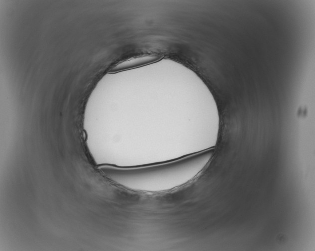 X0000113761345200910211200