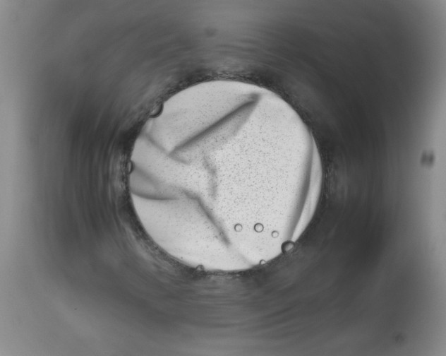 X0000113761346200910211200