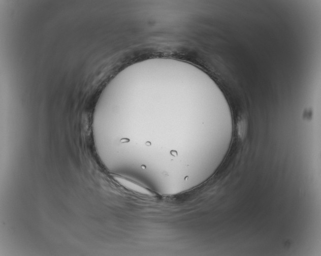 X0000113761347200910211200