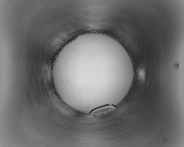 X0000113761348200910211200