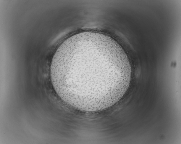 X0000113761350200910211159