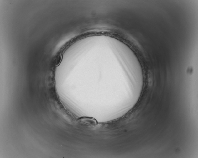 X0000113761352200910211159