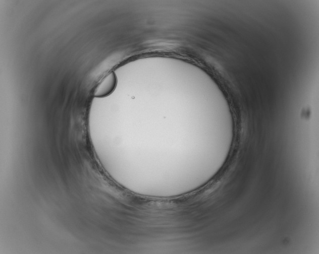 X0000113761354200910211159